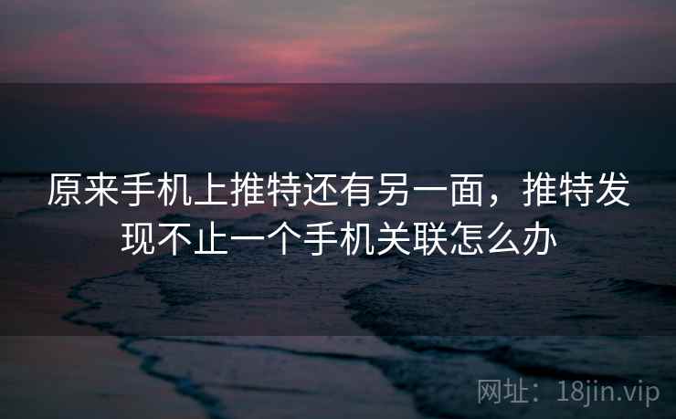 原来手机上推特还有另一面,推特发现不止一个手机关联怎么办 原来手机上推特还有另一面,推特发现不止一个手机关联怎么办