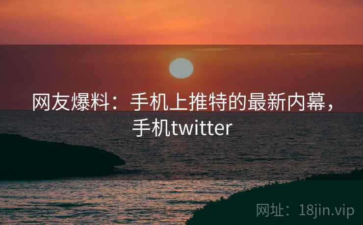 网友爆料:手机上推特的最新内幕,手机twitter