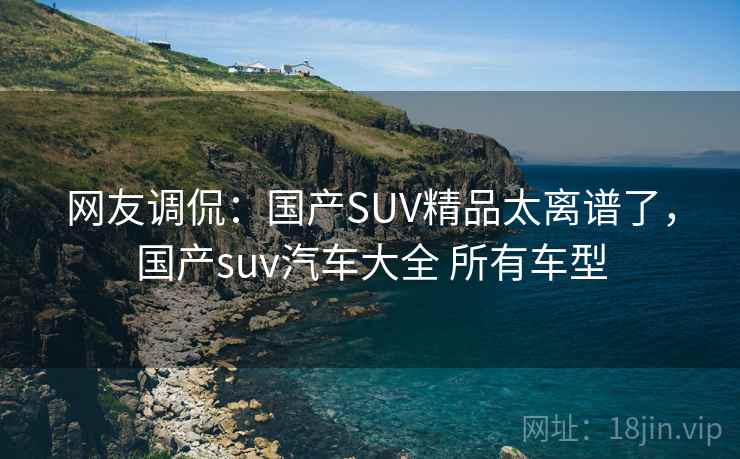 网友调侃:国产SUV精品太离谱了,国产suv汽车大全 所有车型 网友调侃:国产SUV精品太离谱了,国产suv汽车大全 所有车型